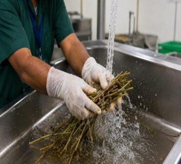 CLEANING & INITIAL PROCESSING-2